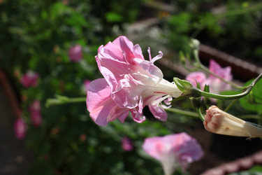 Similar image 21719308