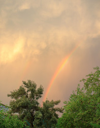 Similar image 21719316