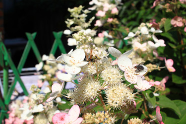 Similar image 21719318