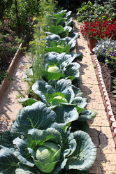 Similar image 21719322