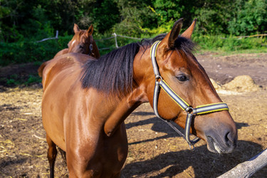 Similar image 21719337