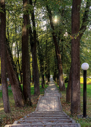 Similar image 21719339