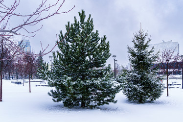 Similar image 21720043