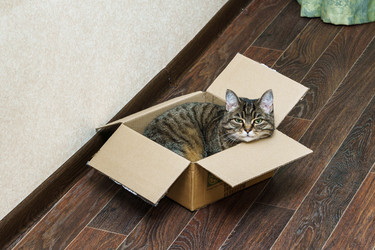 Similar image 21720044