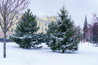 Similar image 21720045