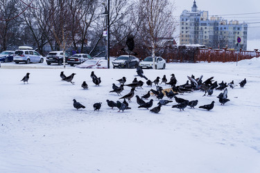 Similar image 21720047