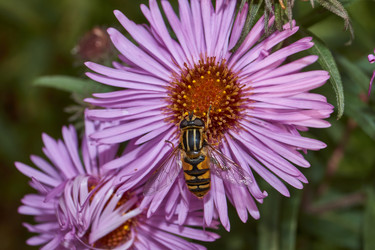 Similar image 21719341