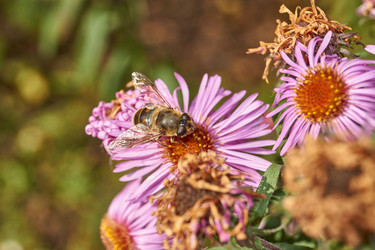 Similar image 21719346