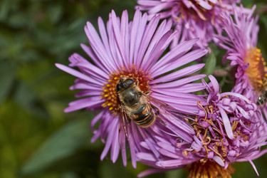 Similar image 21719348