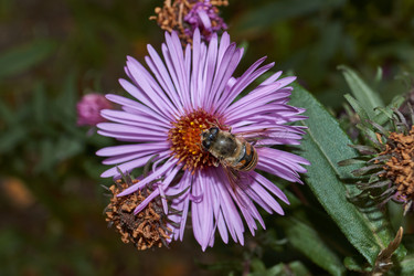 Similar image 21719349