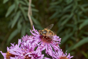 Similar image 21719350