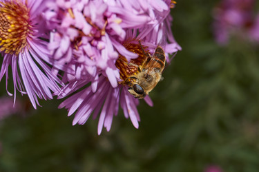 Similar image 21719351