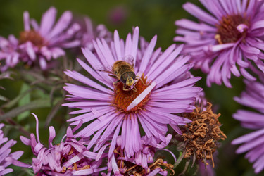 Similar image 21719352