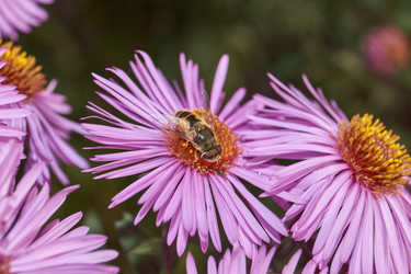 Similar image 21719354