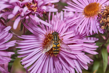 Similar image 21719355