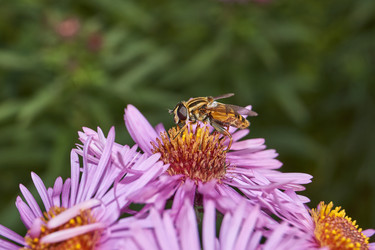 Similar image 21719358