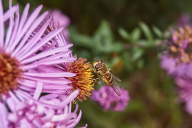 Similar image 21719360