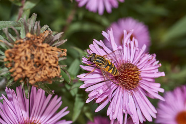 Similar image 21719363