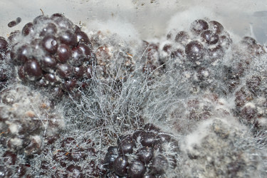 Similar image 21719365