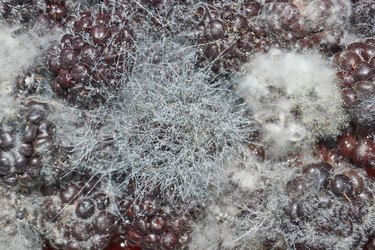 Similar image 21719367