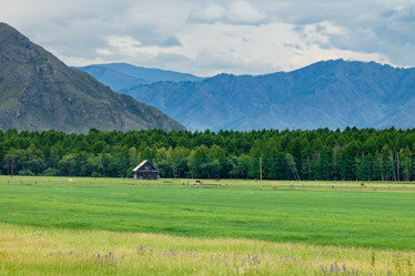 Similar image 21720239