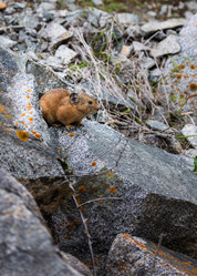 Similar image 21720250