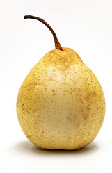 Similar image 21719404