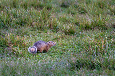 Similar image 21720262