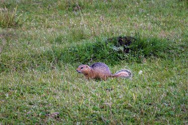 Similar image 21720263