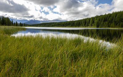 Similar image 21720271