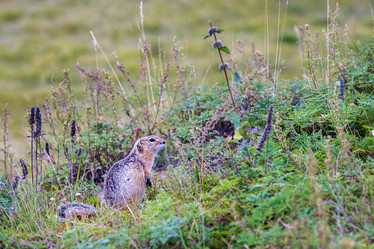 Similar image 21720287