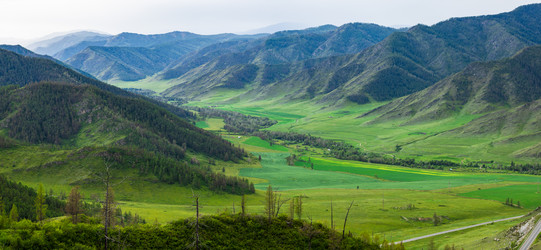 Similar image 21720296