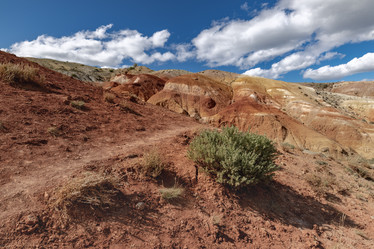 Similar image 21720301