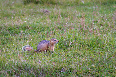 Similar image 21720200