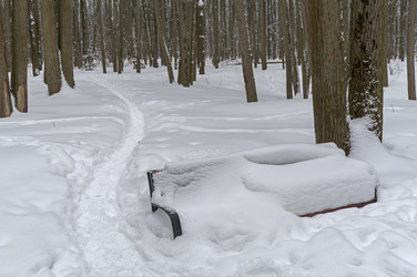 Similar image 21719405