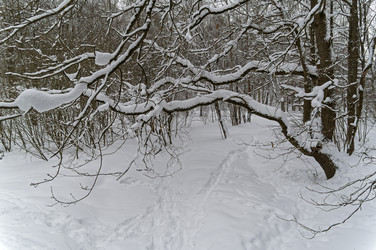 Similar image 21719410