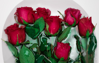 Similar image 21720478