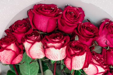 Similar image 21720061