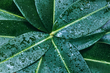 Similar image 21720482