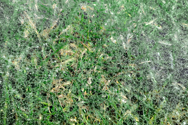 Similar image 21720483