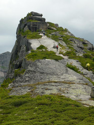 Similar image 21720207