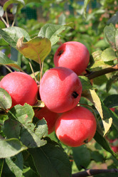 Similar image 21720100