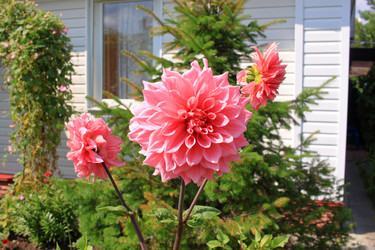 Similar image 21720101