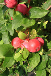 Similar image 21720103