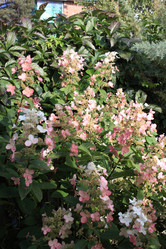 Similar image 21720105