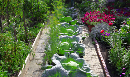 Similar image 21720107