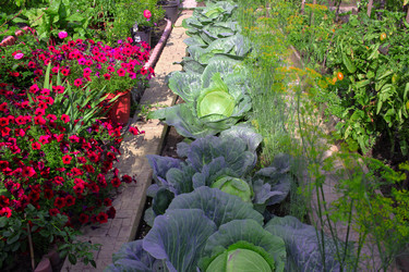 Similar image 21720108