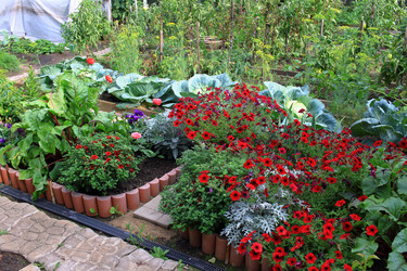 Similar image 21720110