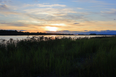 Similar image 21720114