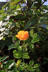 Similar image 21720126